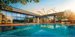 Piccadilly Grand (D8), Apartment #524337031